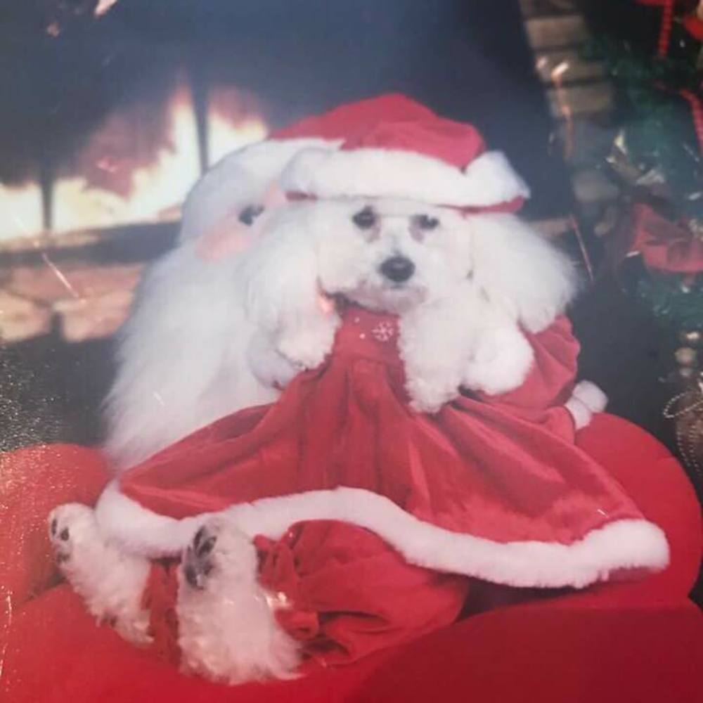 Meet your Posher, Patricia